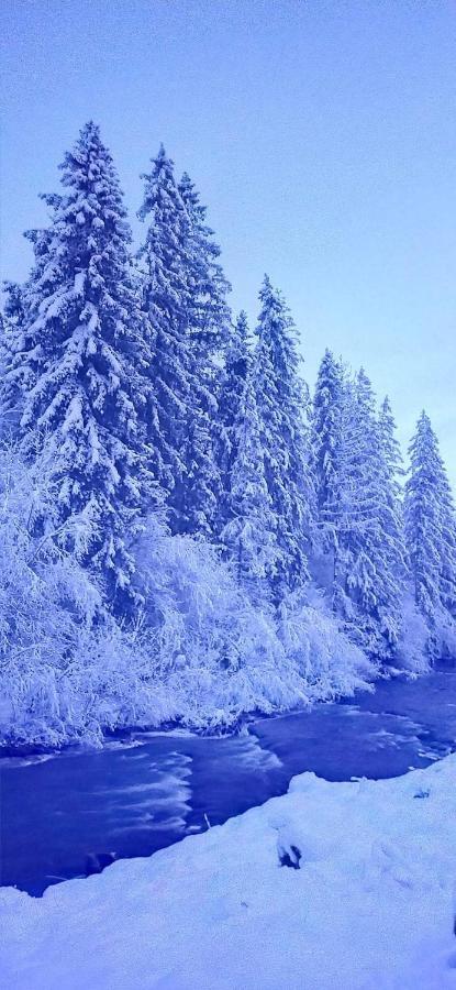Родинна Оселя Slavsko Exterior foto